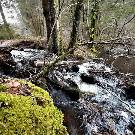 Gemuetliche Am Felsenwanderweg *