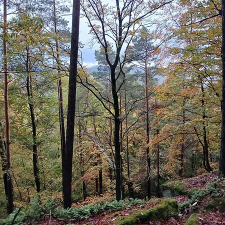 Gemuetliche Am Felsenwanderweg Apartment *