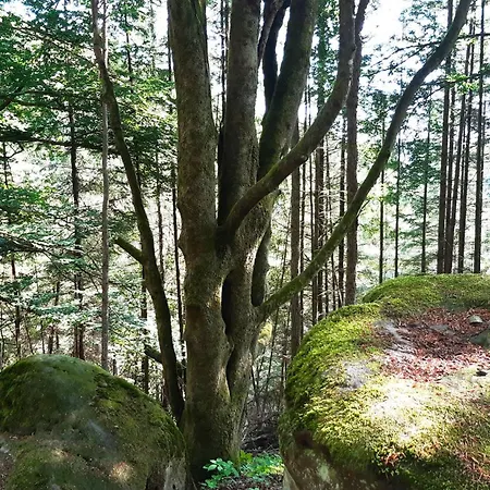 Gemuetliche Am Felsenwanderweg *
