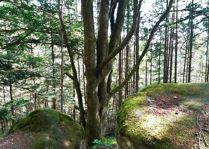 Gemuetliche Am Felsenwanderweg *
