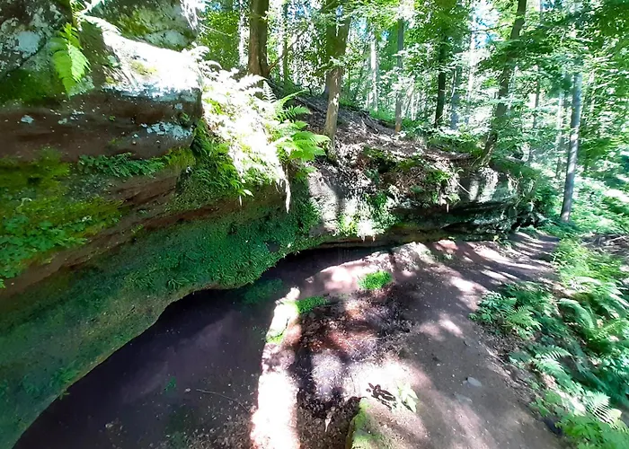 Апартаменты Gemuetliche Am Felsenwanderweg